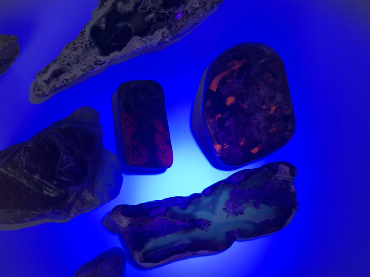 UV Reactive