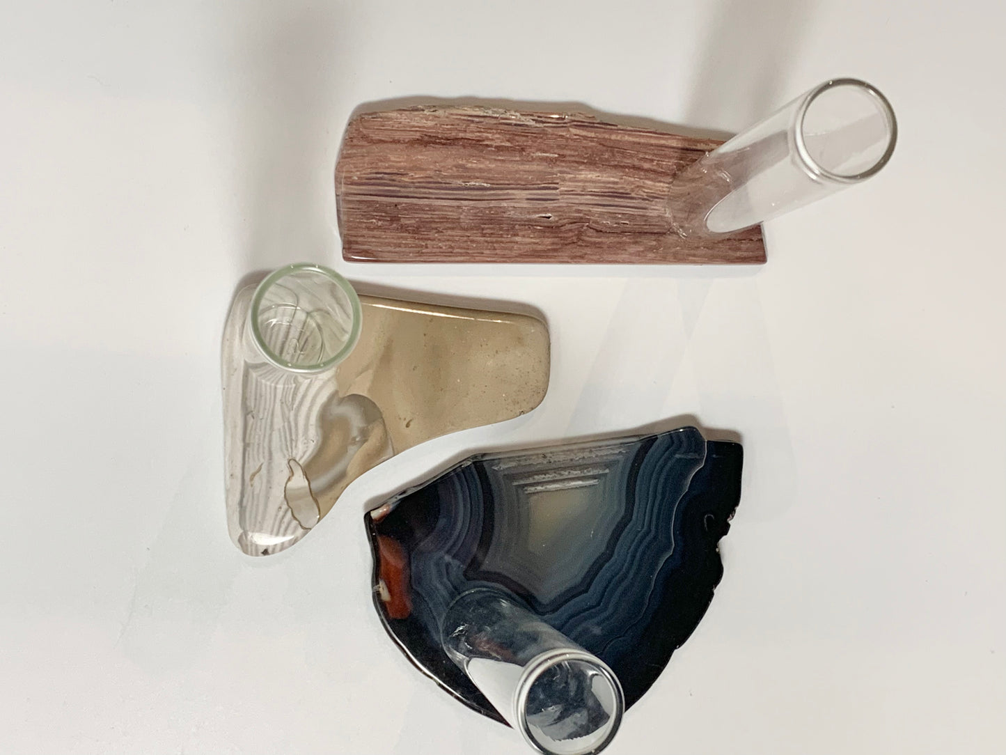 Agate slice plant propagation