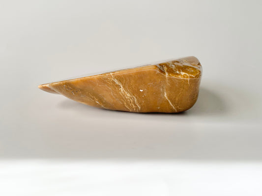 Stromatoporoids Fossil Slab