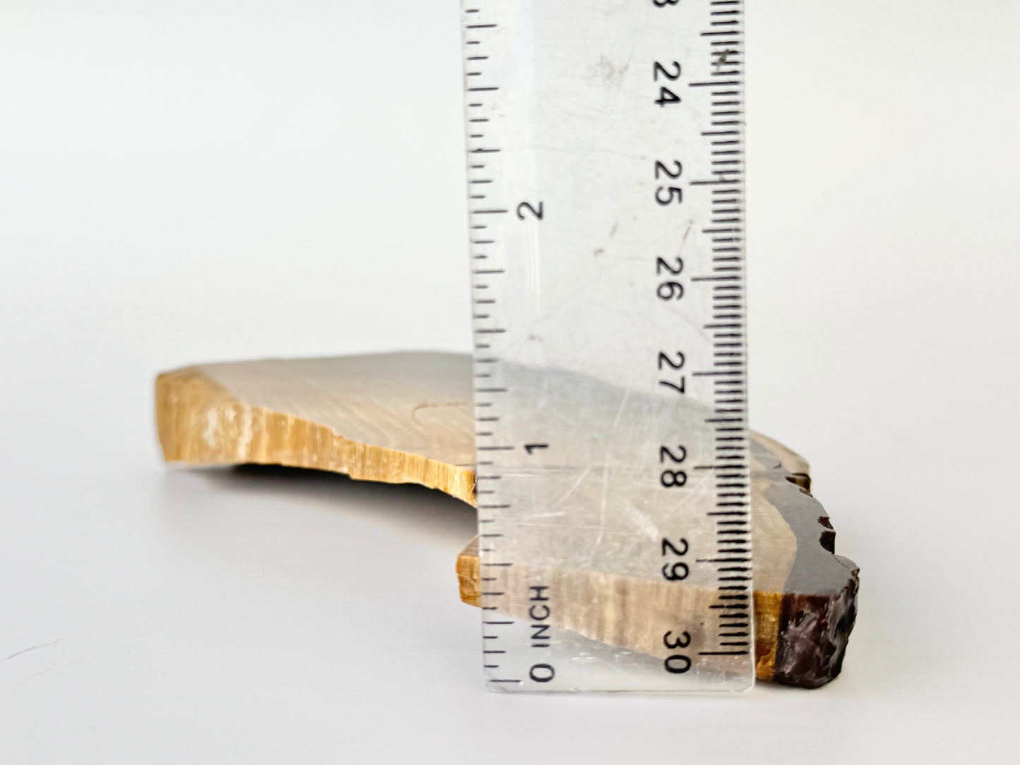 Petrified Wood Slab, Polished