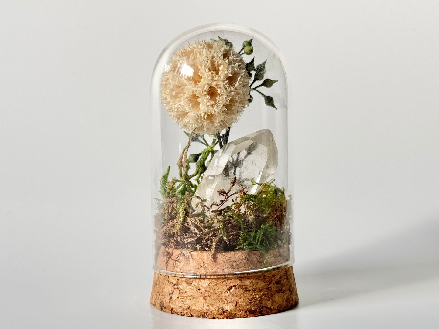 Nature Domes, Crystal Moss Terrarium