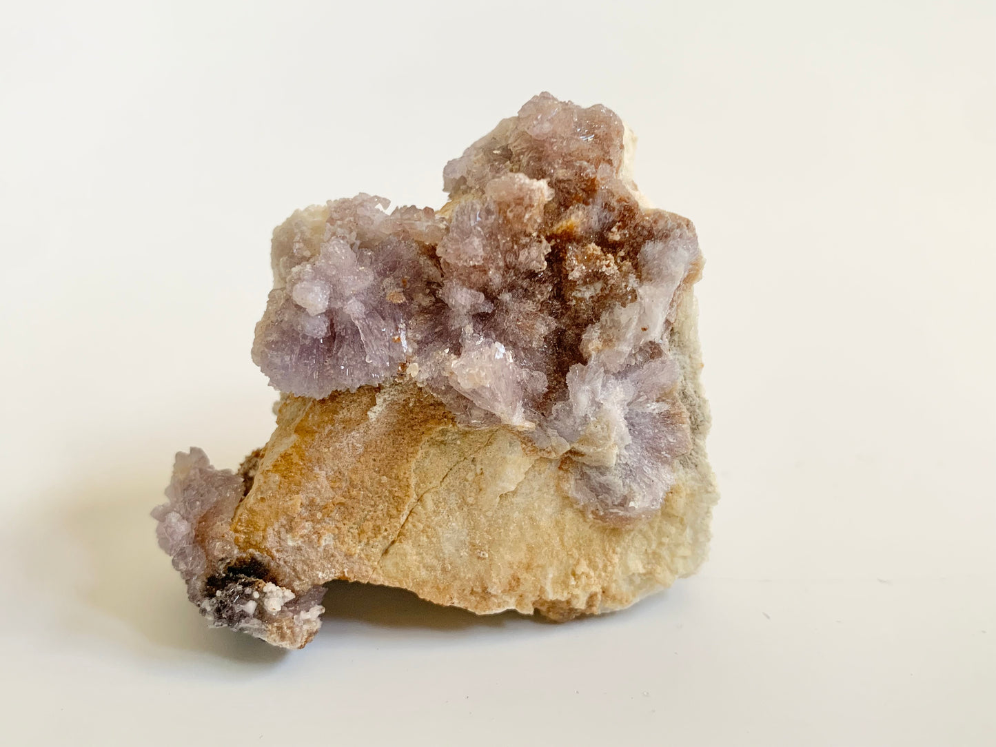 Creedite