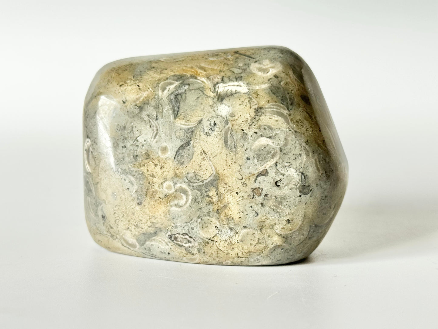 Lake Michigan Fossil Soup Freeform