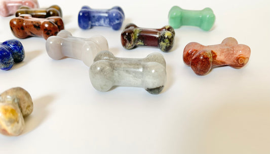 Mini Dog Treat Bone Carving