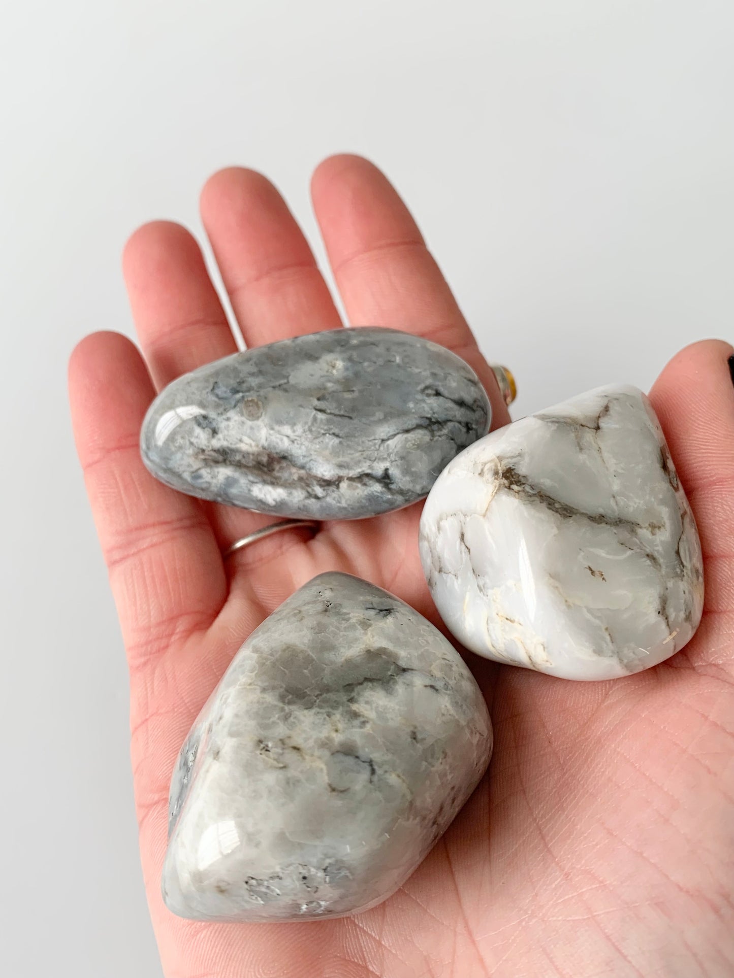 Chalcedony Tumble, Large, Lake Michigan