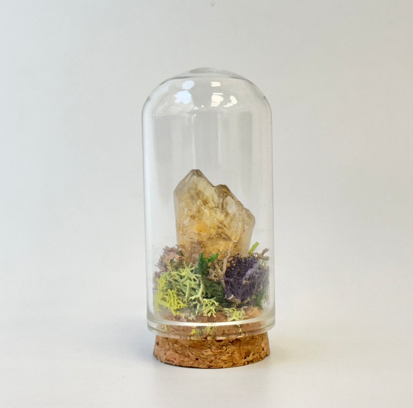 Nature Domes, Crystal Moss Terrarium
