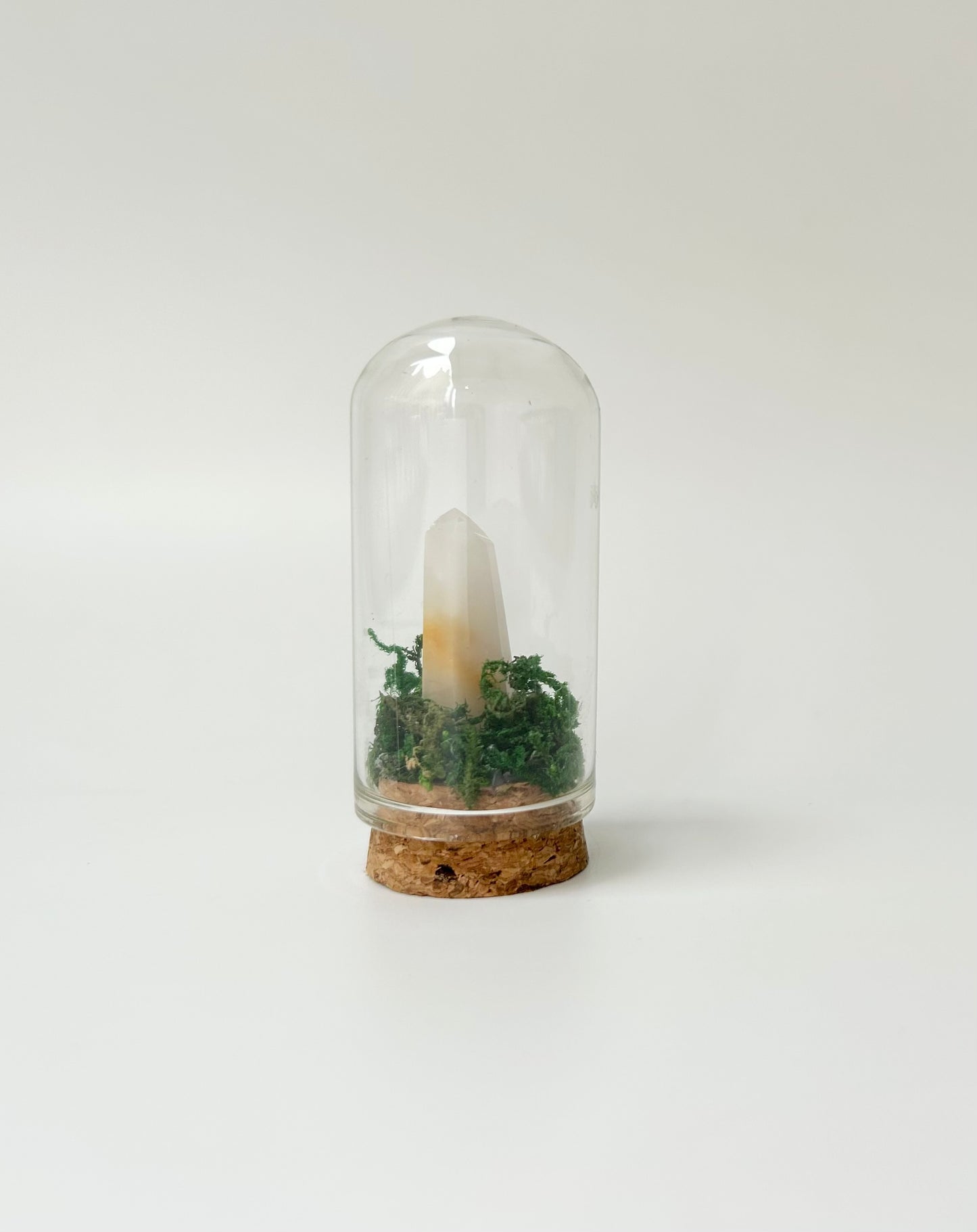 Nature Domes, Crystal Moss Terrarium