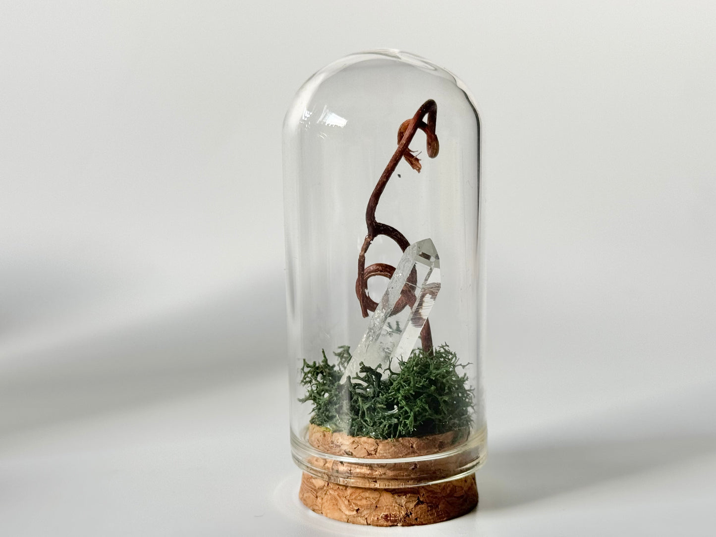 Nature Domes, Crystal Moss Terrarium