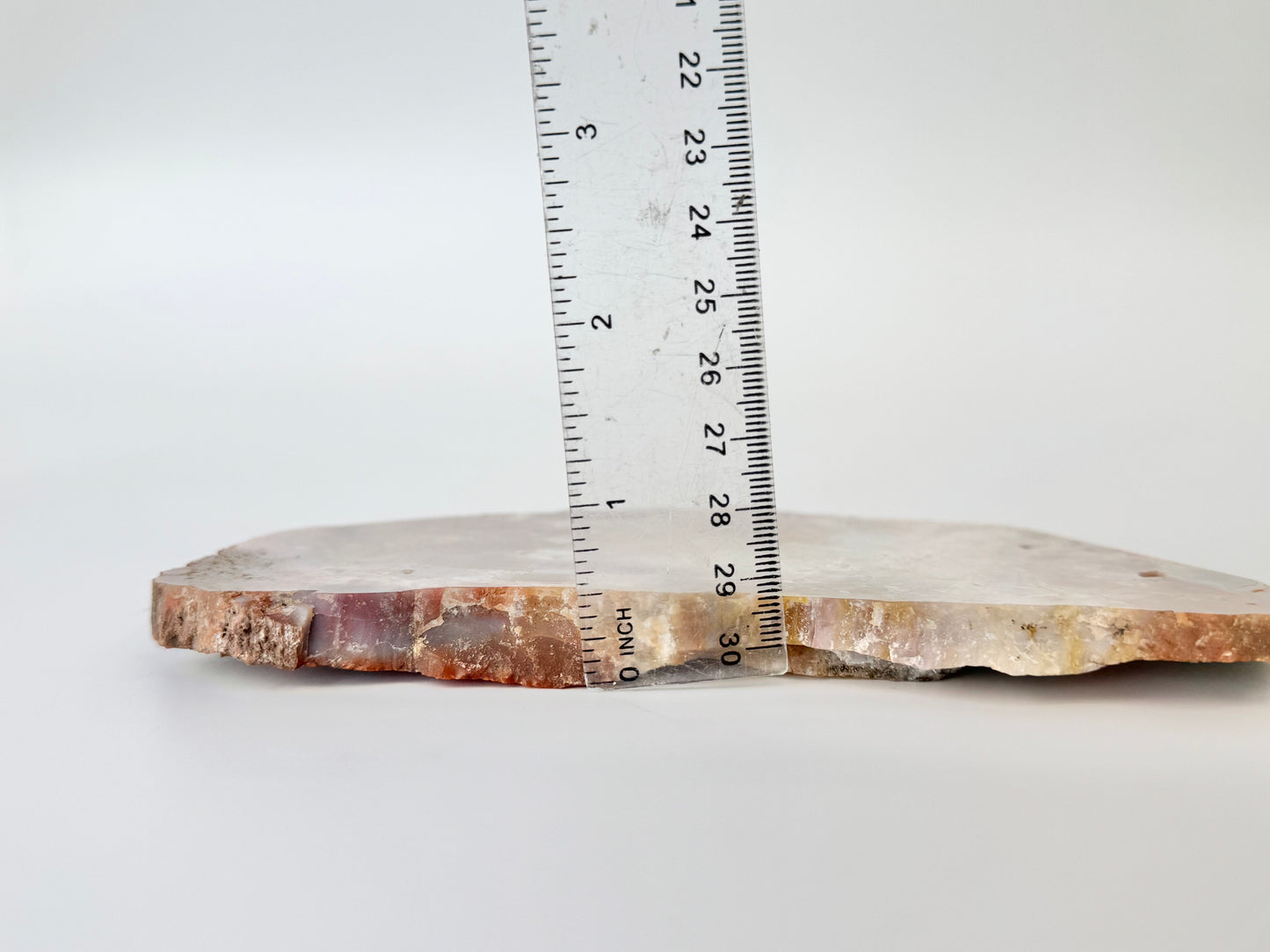 Petrified Wood Slab, Polished