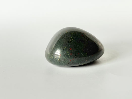 Lake Michigan Polished Stone