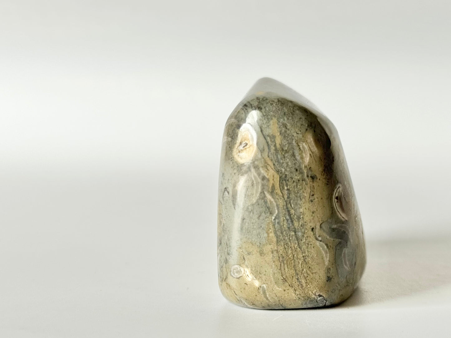 Lake Michigan Fossil Soup Freeform