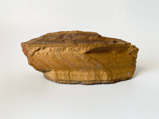 Gold Tigers Eye, Raw