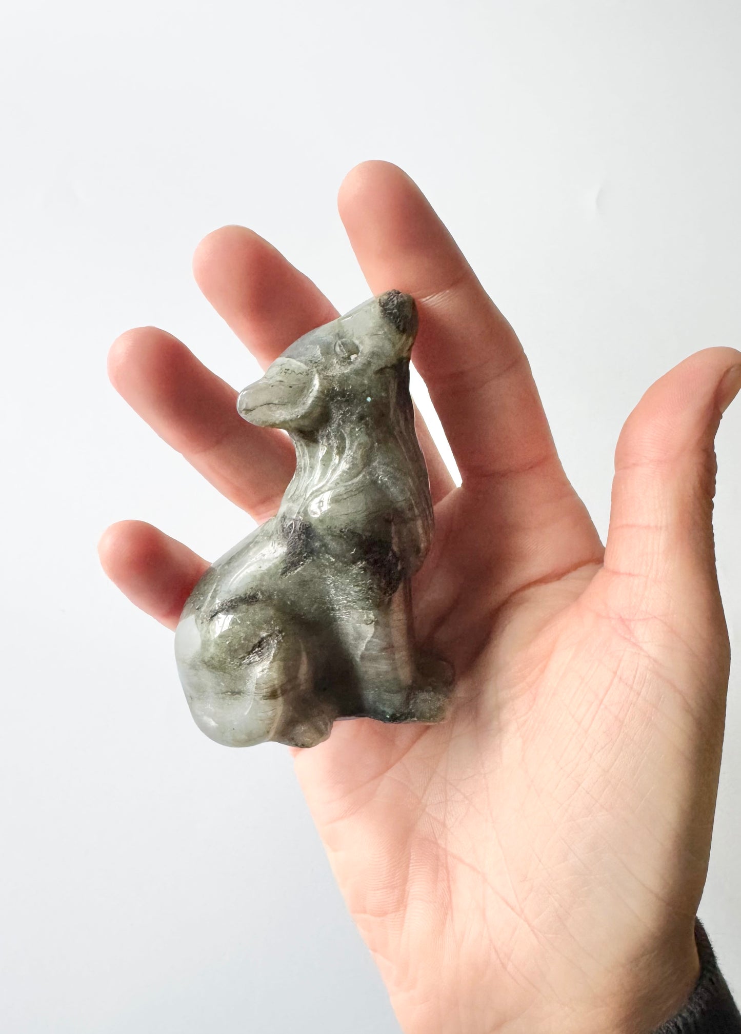 Howling Wolf Carving, Labradorite