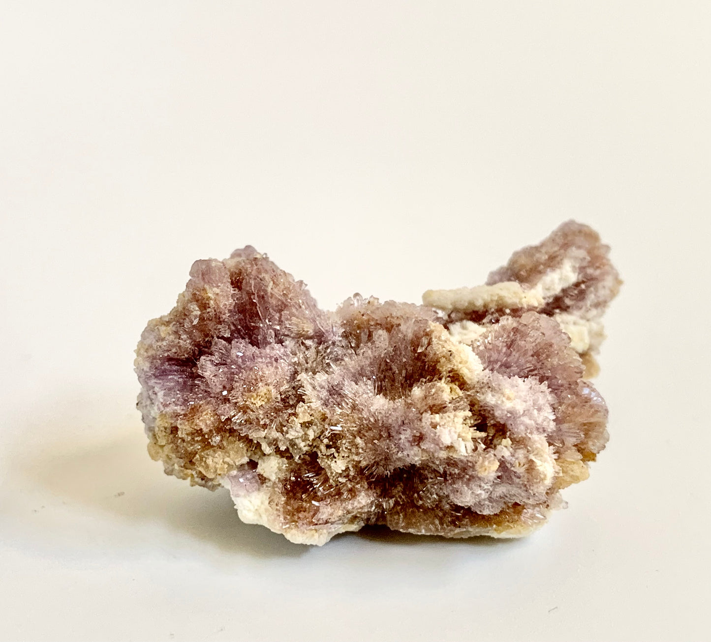 Creedite