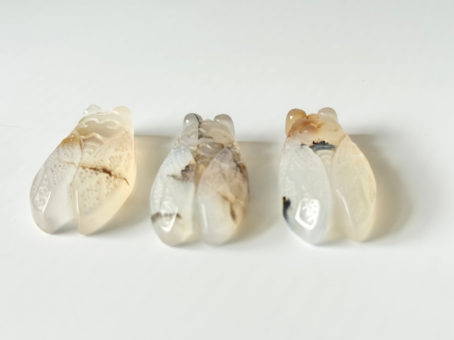 Agate Cicada Flat Carving