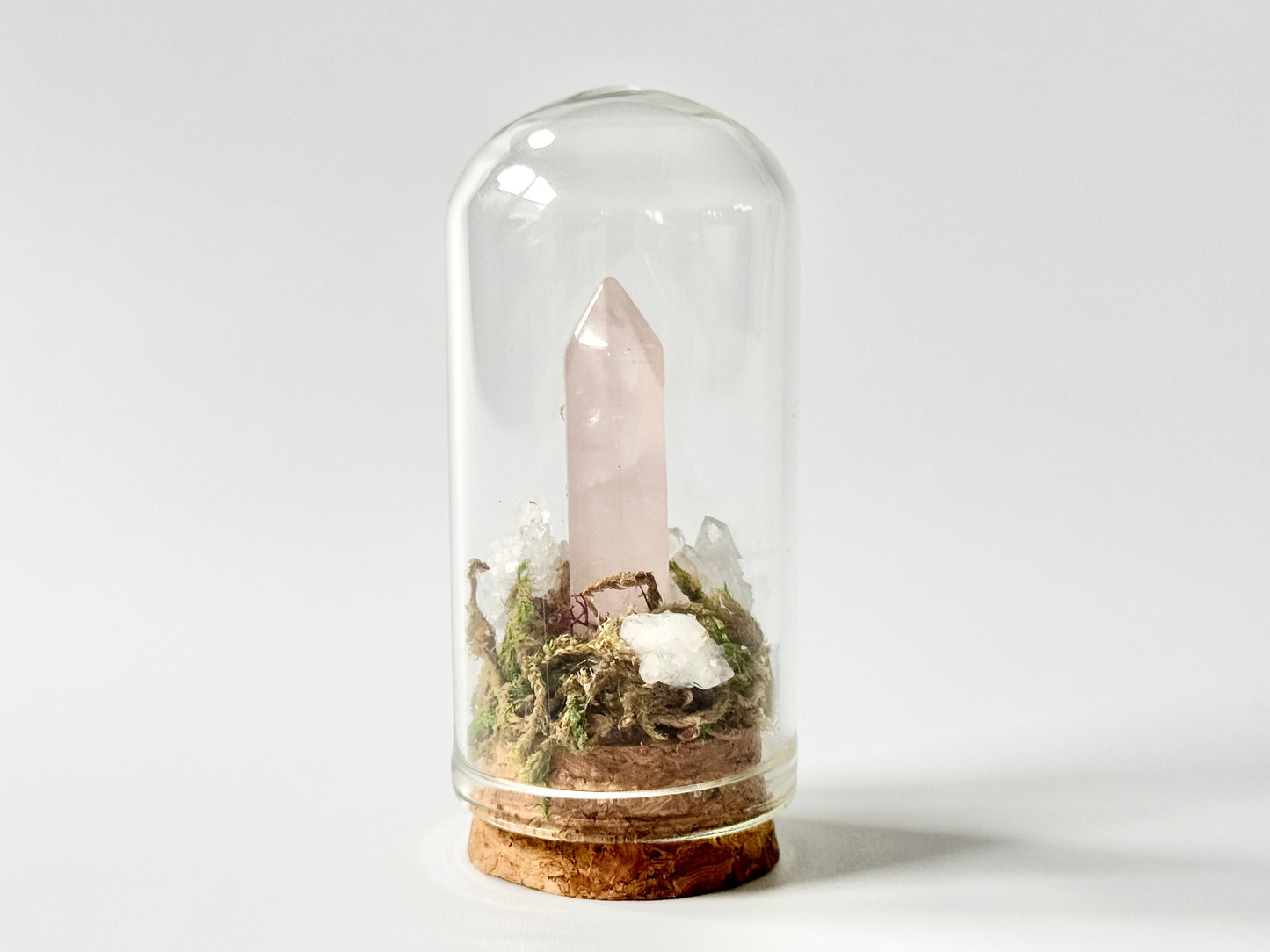 Nature Domes, Crystal Moss Terrarium