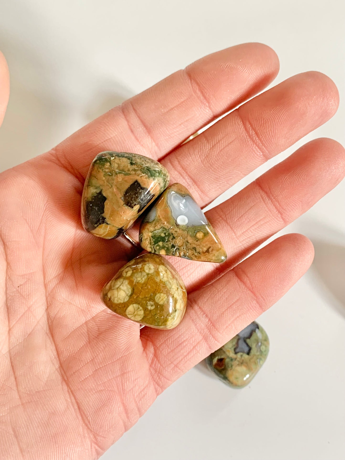 Rainforest Jasper (Rhyolite)