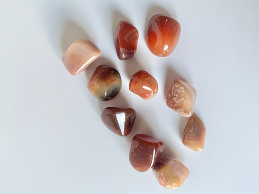 Lake Superior Agate Tumble, small set
