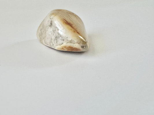 Lake Michigan Tumble