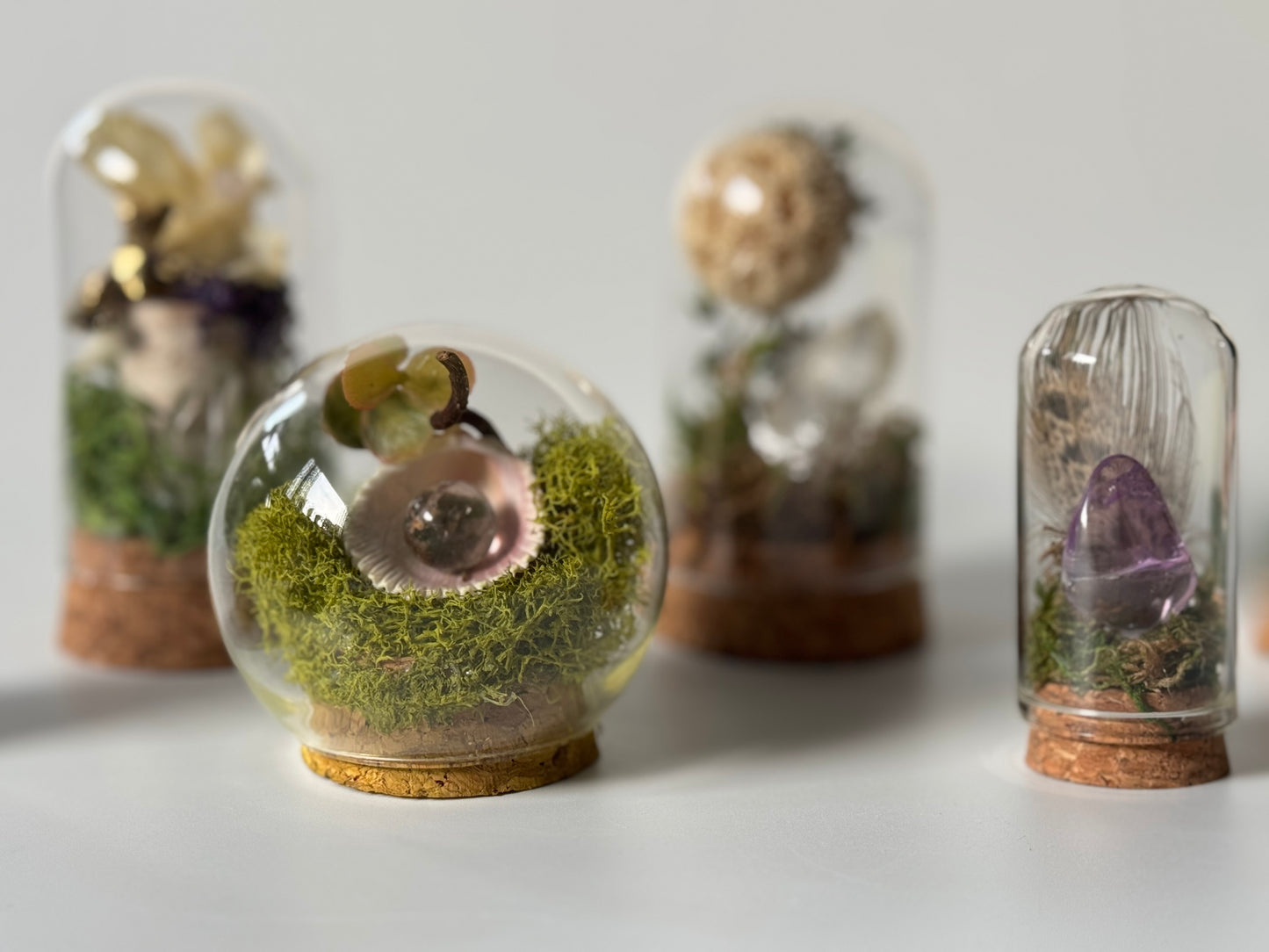 Nature Domes, Crystal Moss Terrarium
