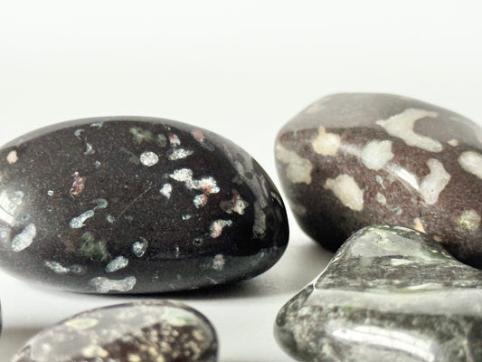 Amygdaloidal Basalt Lake Michigan Tumbles