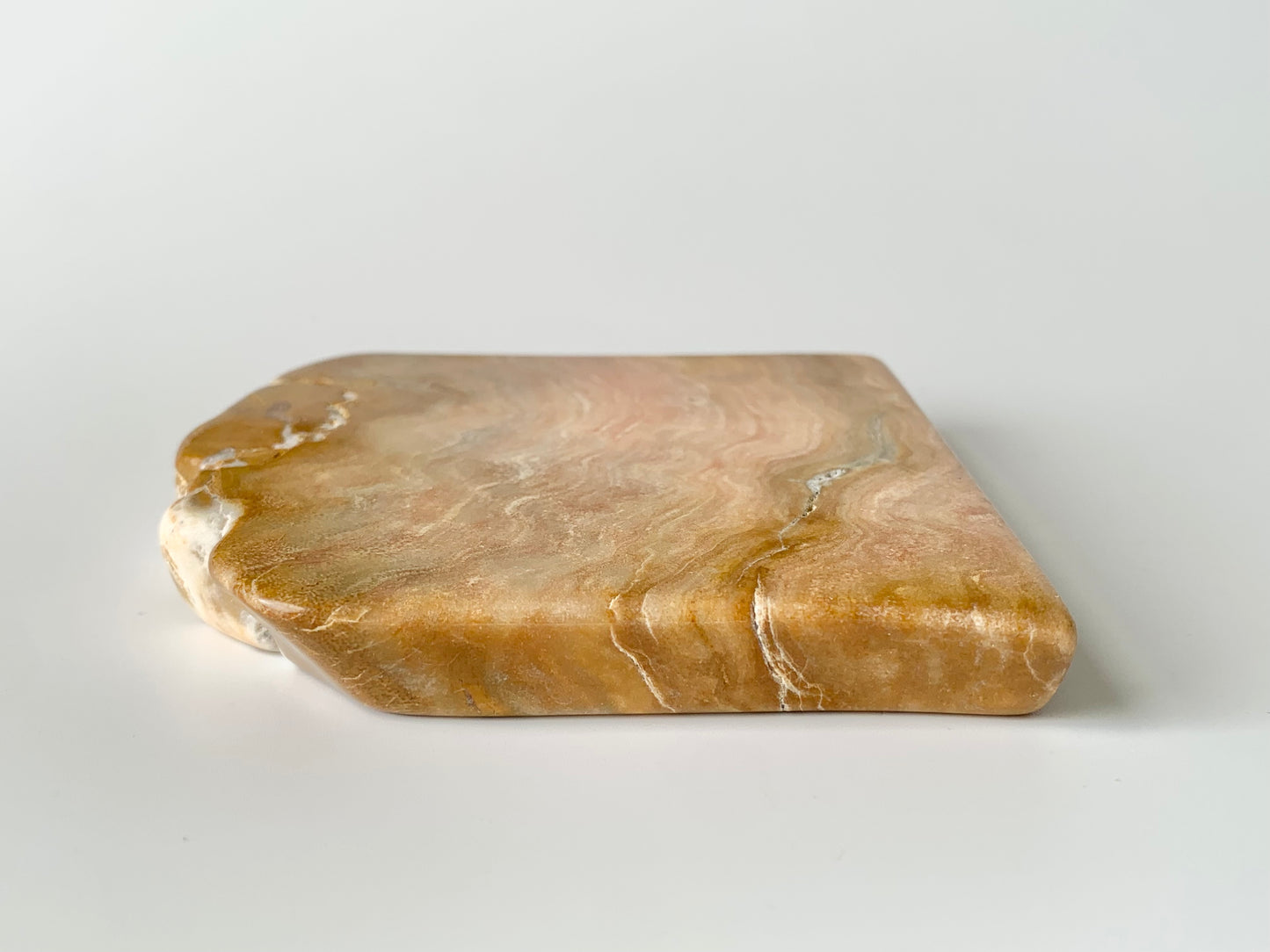 Stromatoporoids Fossil Slab