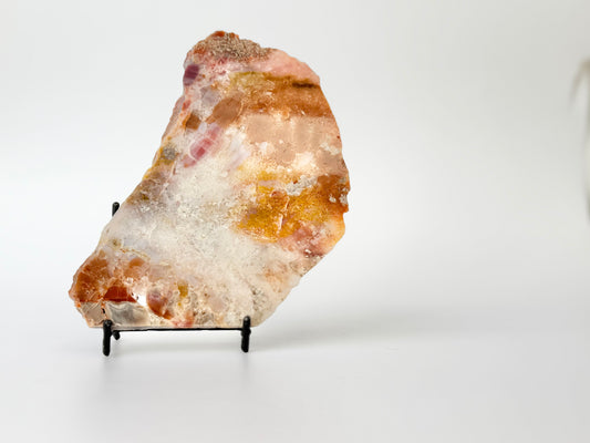 Petrified Wood Slab, Polished