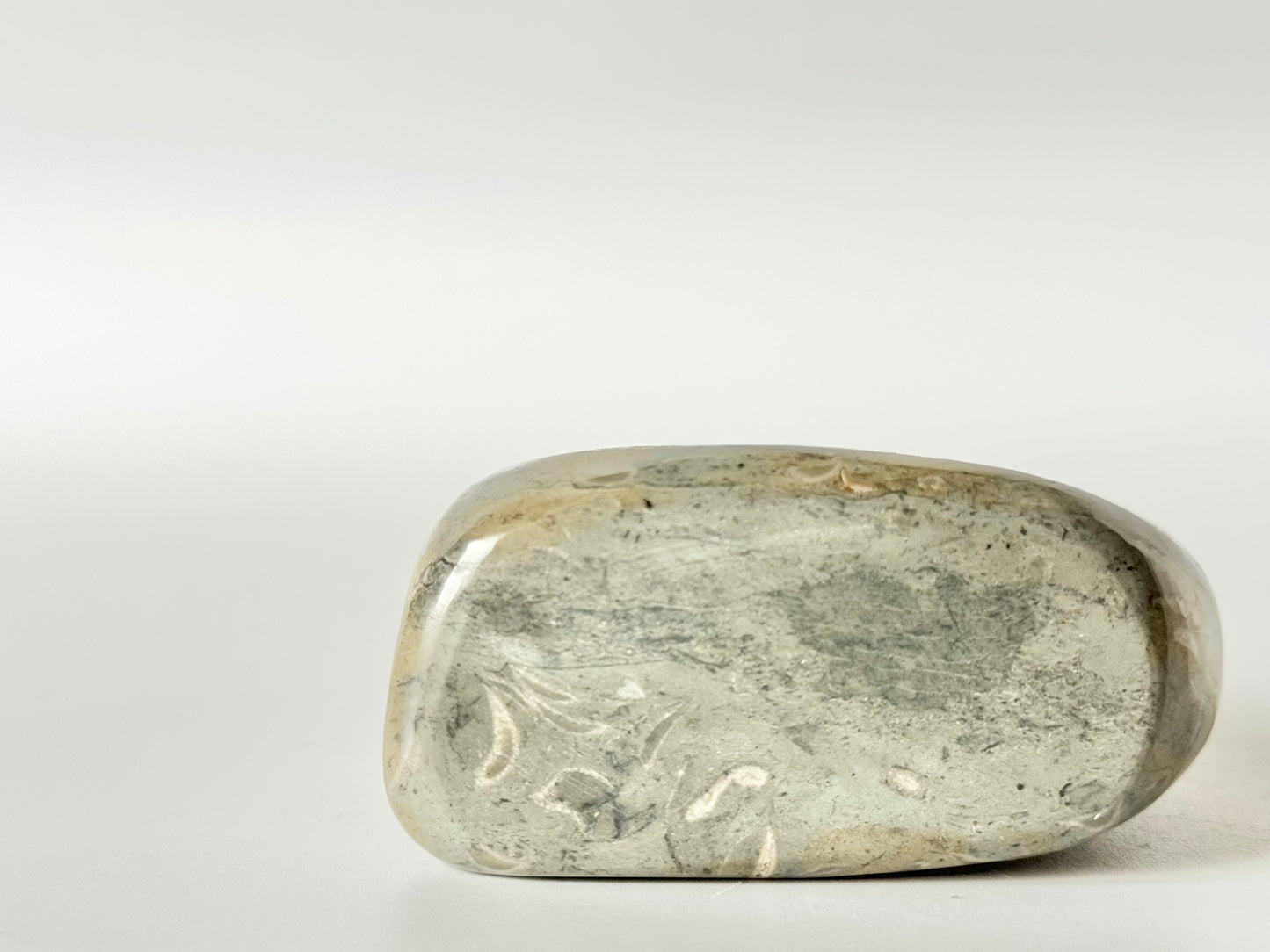 Lake Michigan Fossil Soup Freeform