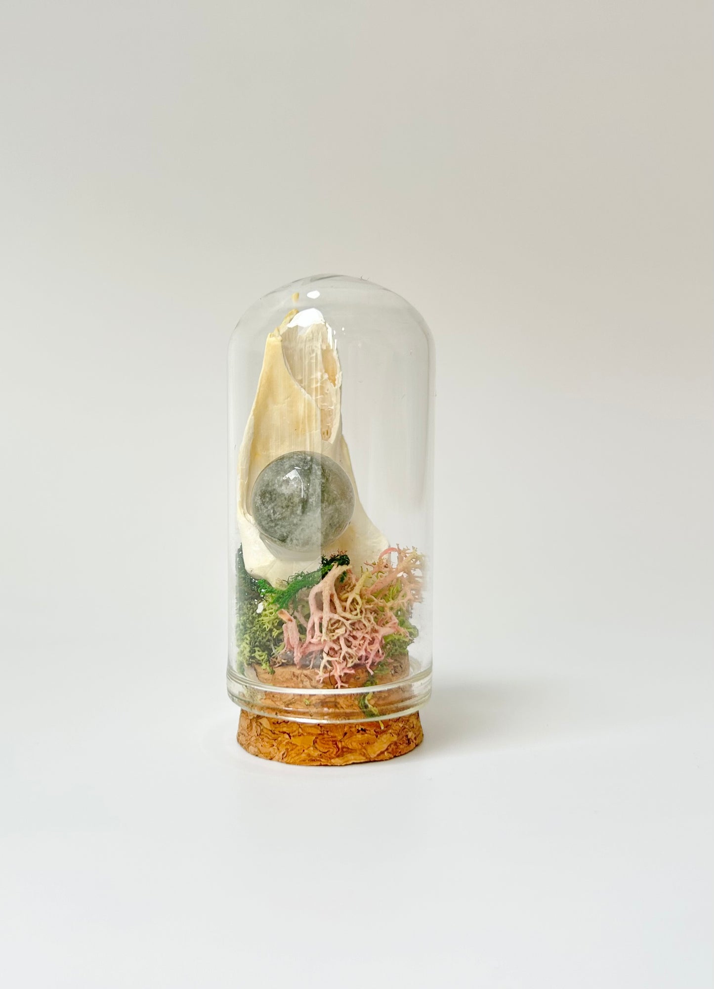 Nature Domes, Crystal Moss Terrarium