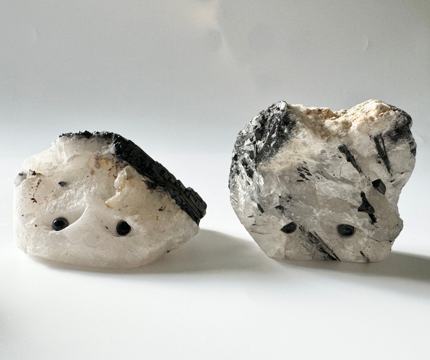 Pet Rock, Tourmaline in Quartz