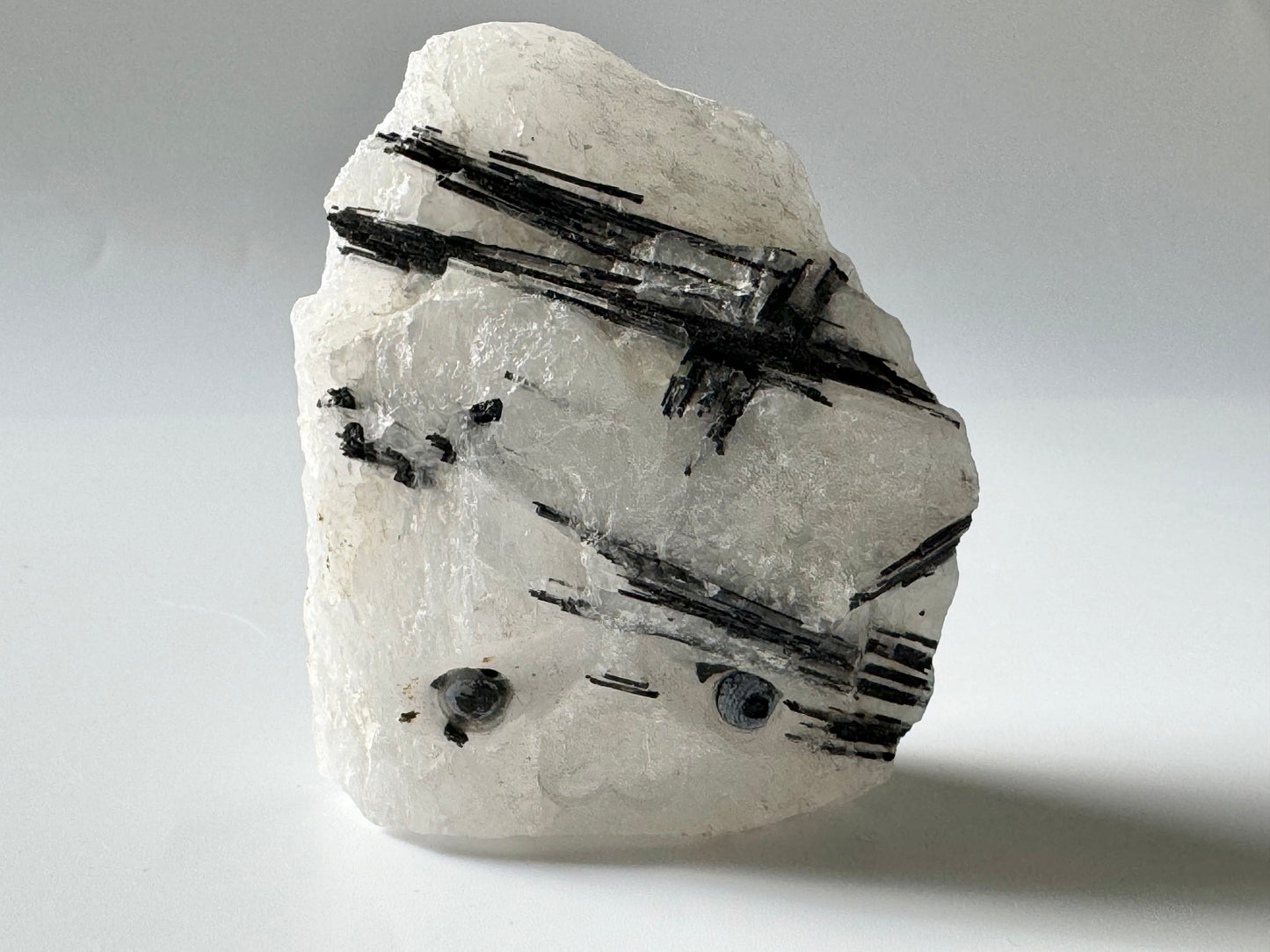 Pet Rock, Tourmaline in Quartz