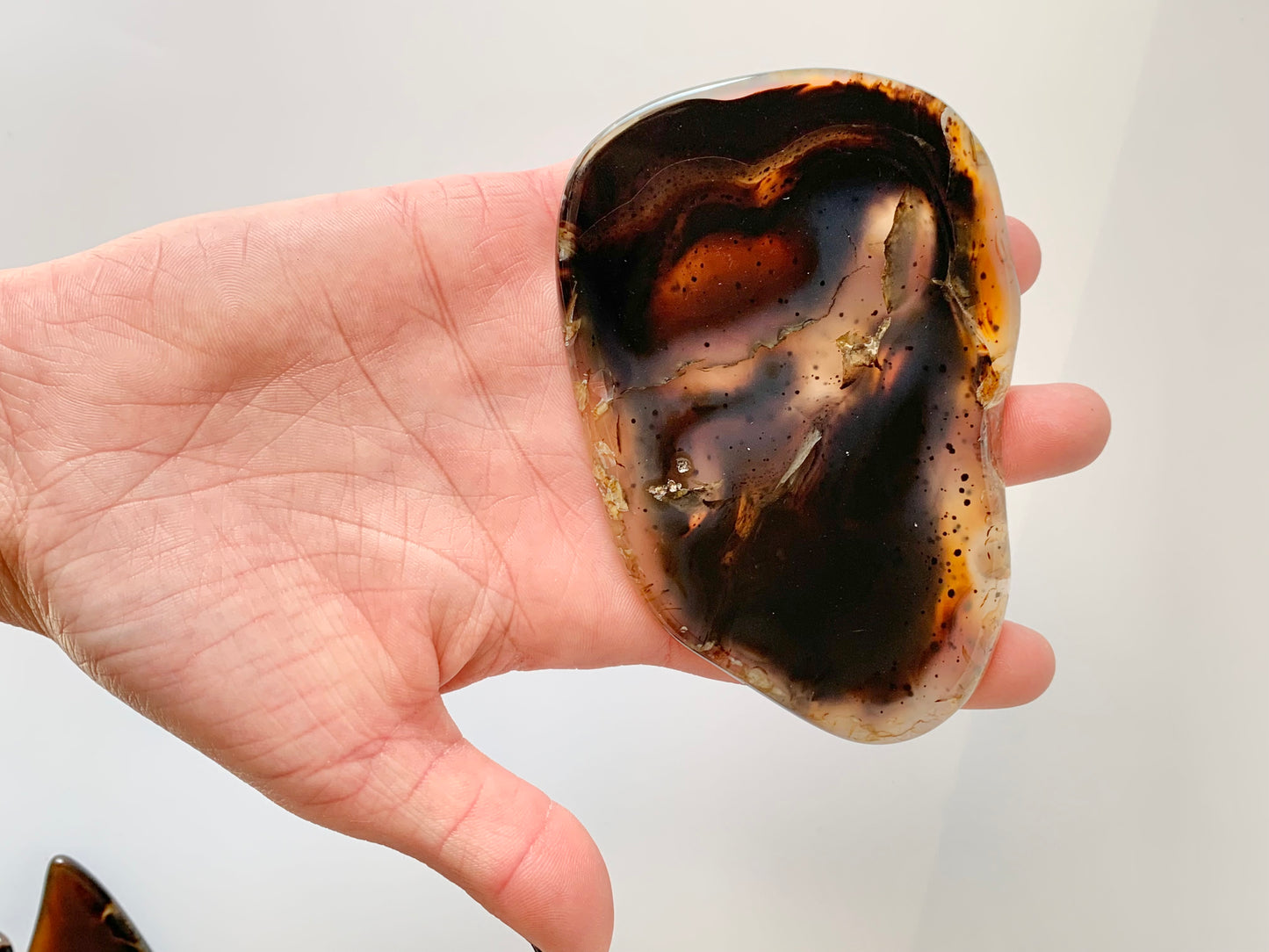 Polished Montana Moss Agate Slab, small