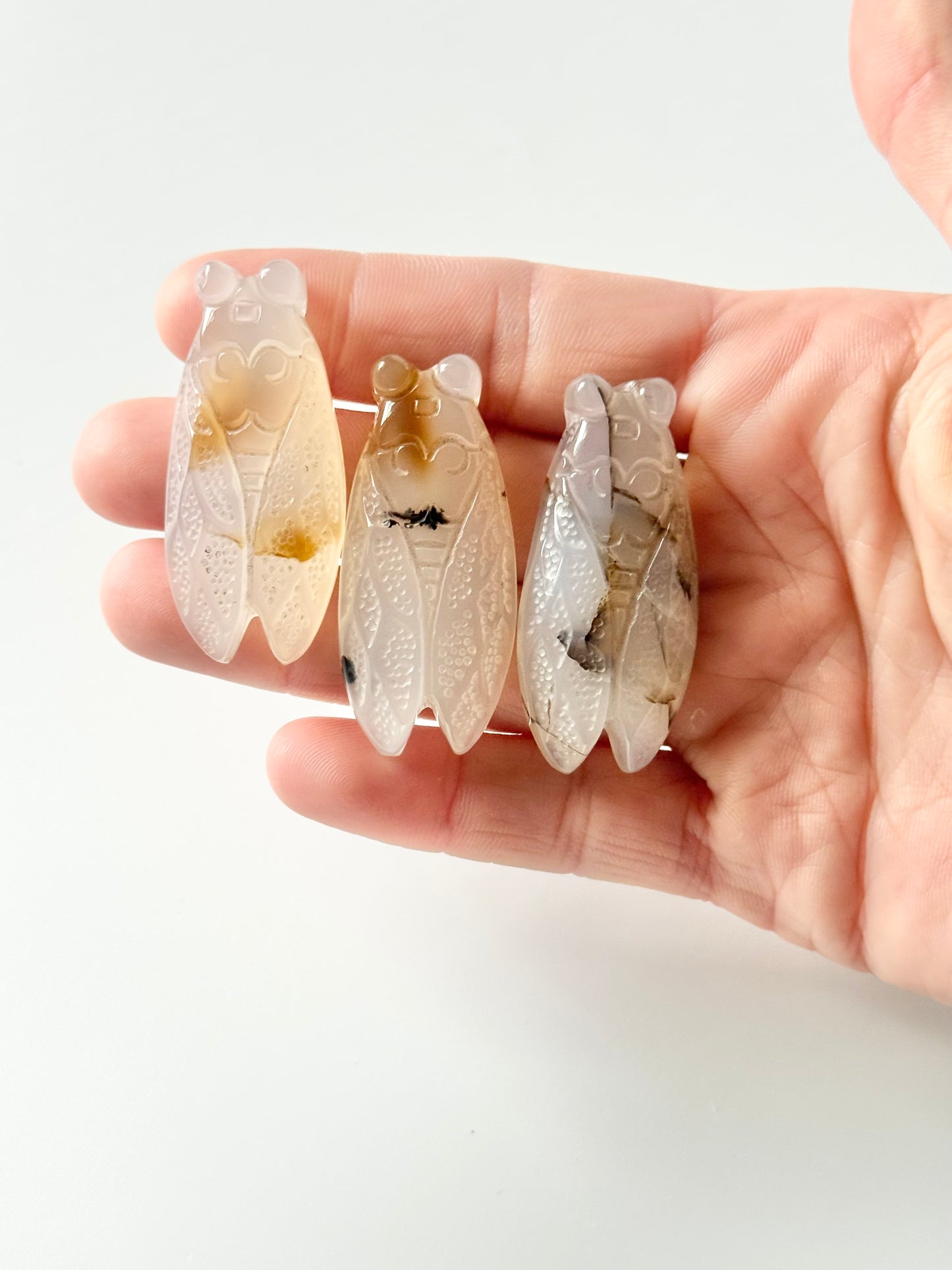Agate Cicada Flat Carving