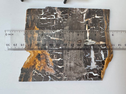 Petrified wood slab, raw