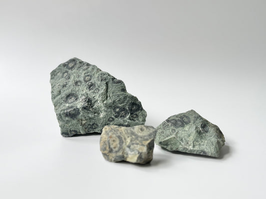 Kambaba Jasper, Raw Display Piece