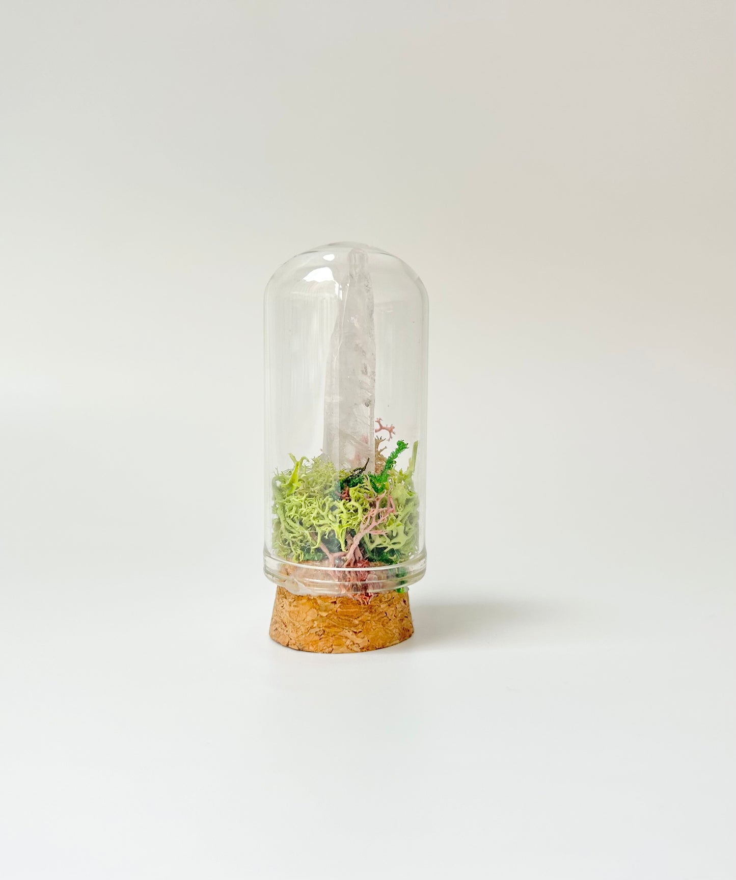 Nature Domes, Crystal Moss Terrarium