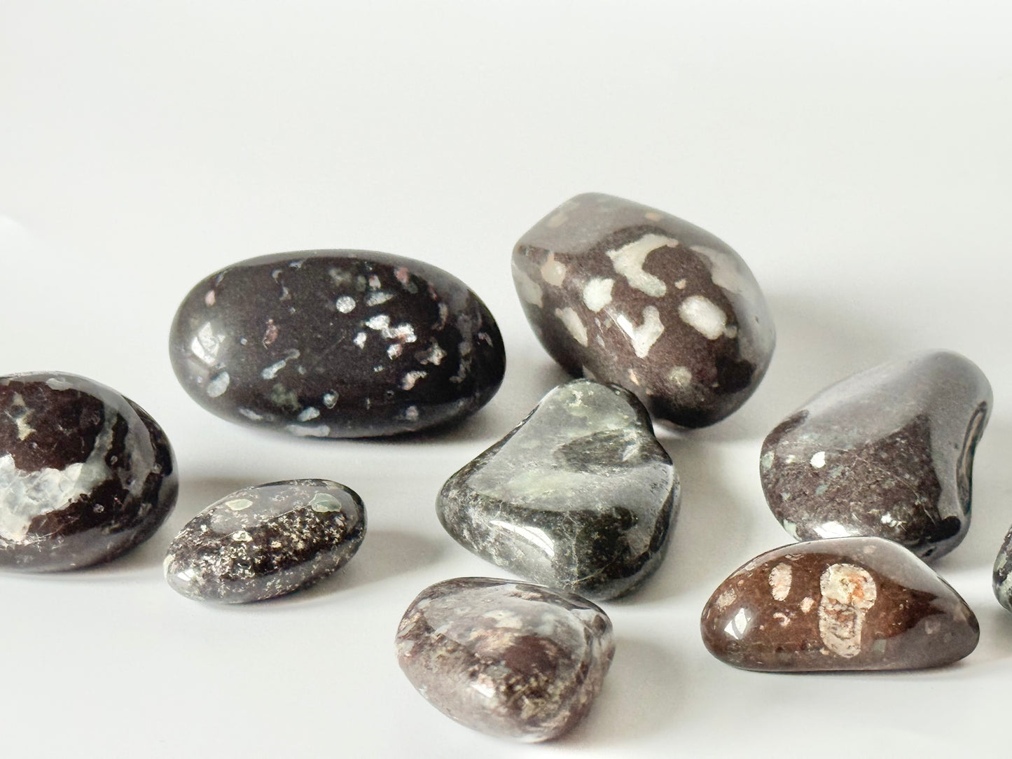 Amygdaloidal Basalt Lake Michigan Tumbles
