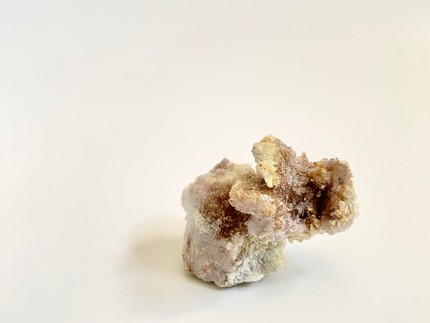 Creedite