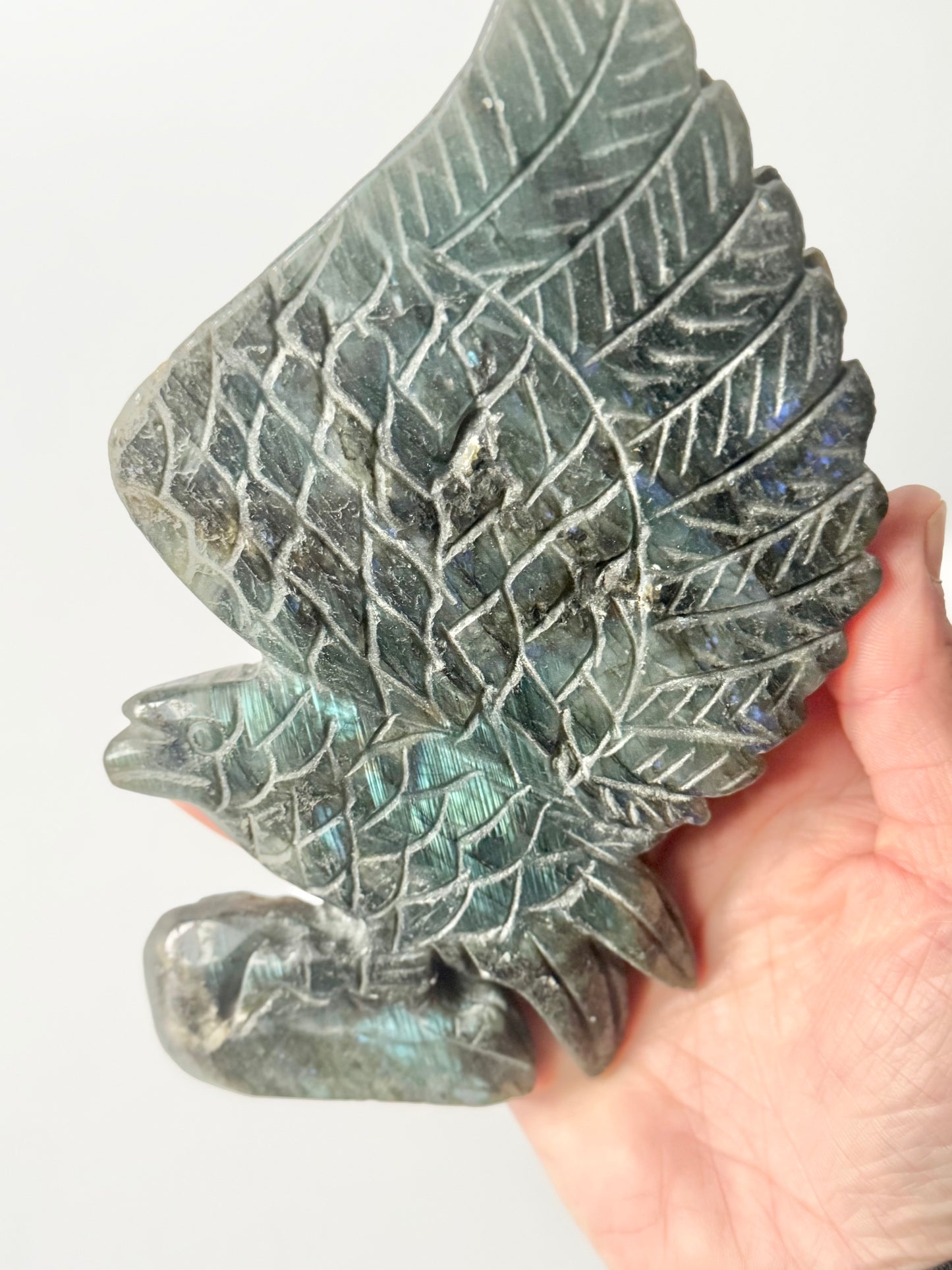 Labradorite Eagle Carving
