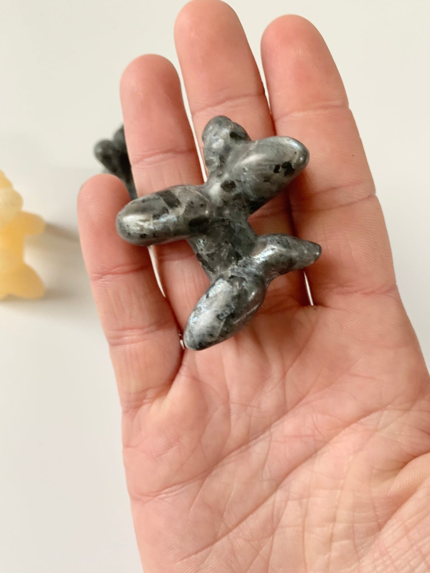 Balloon Dog Carving, Assorted