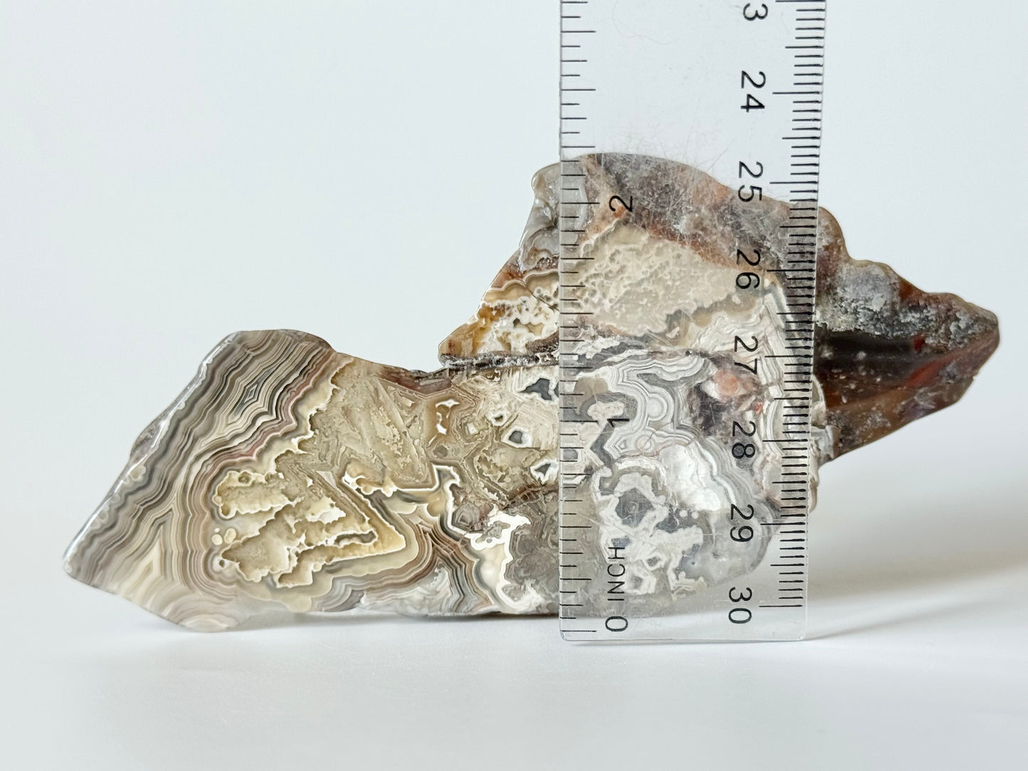 Crazy Lace Agate Slab, polished