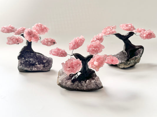 Rose Quartz Gem Bonsai Tree on Amethyst Base