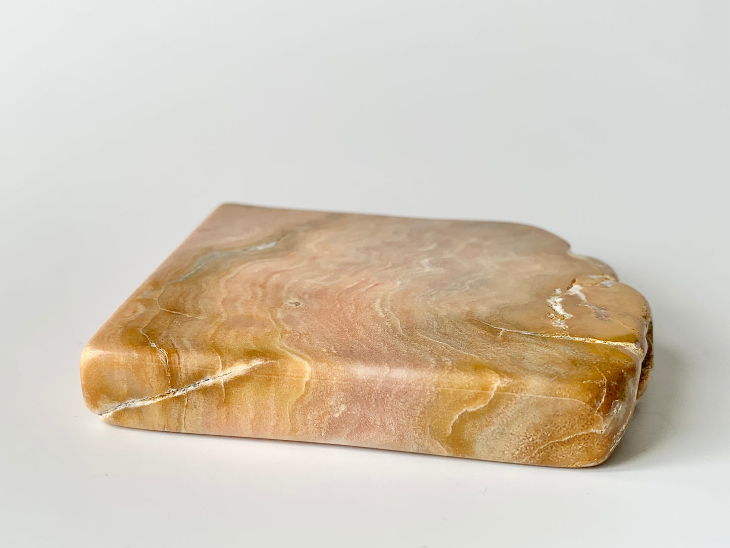 Stromatoporoids Fossil Slab