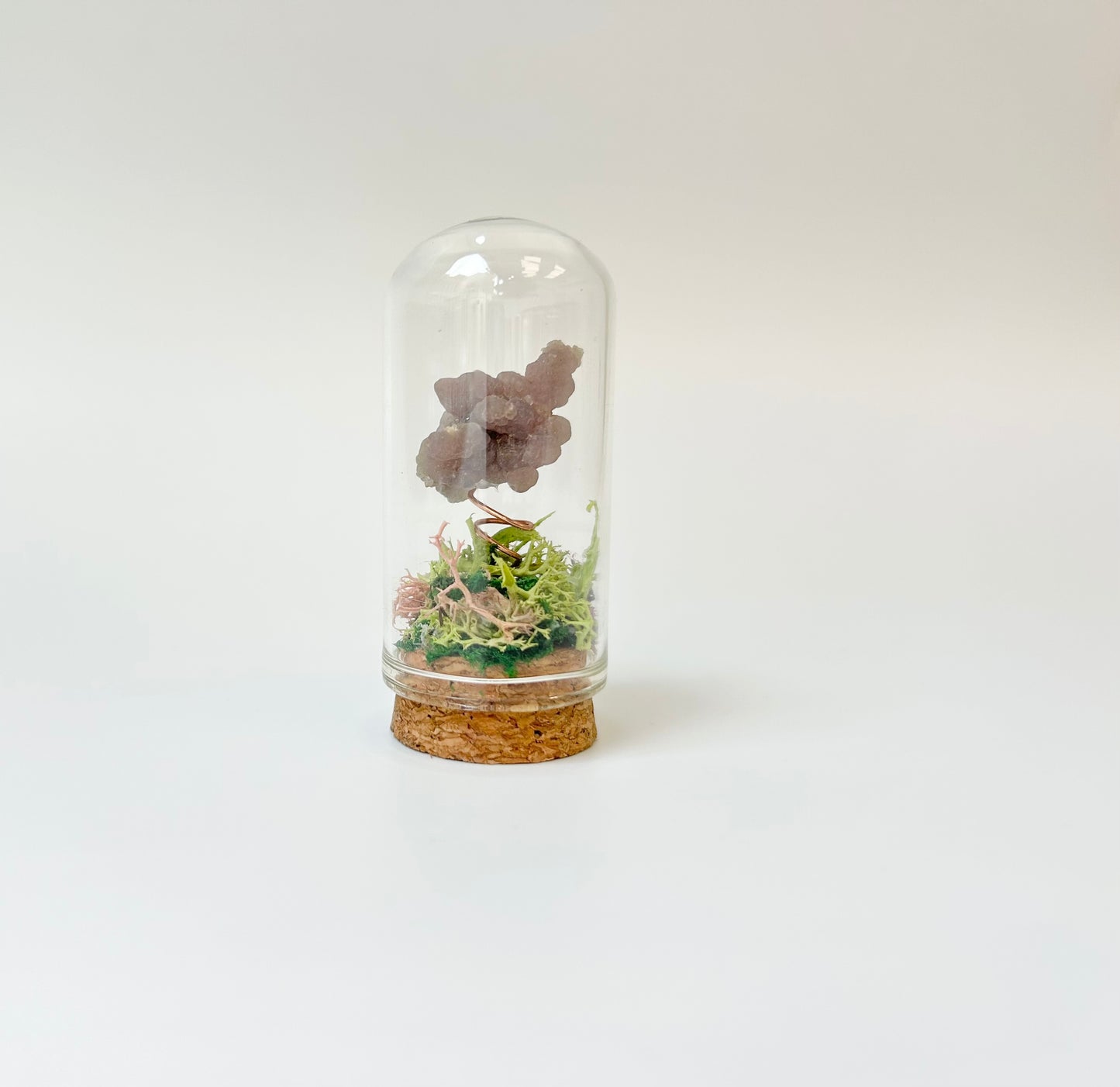 Nature Domes, Crystal Moss Terrarium