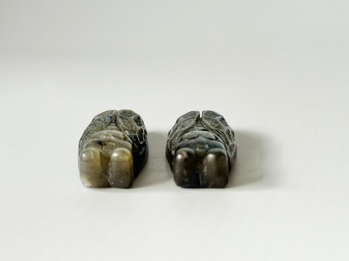 Cicada Flat Carving