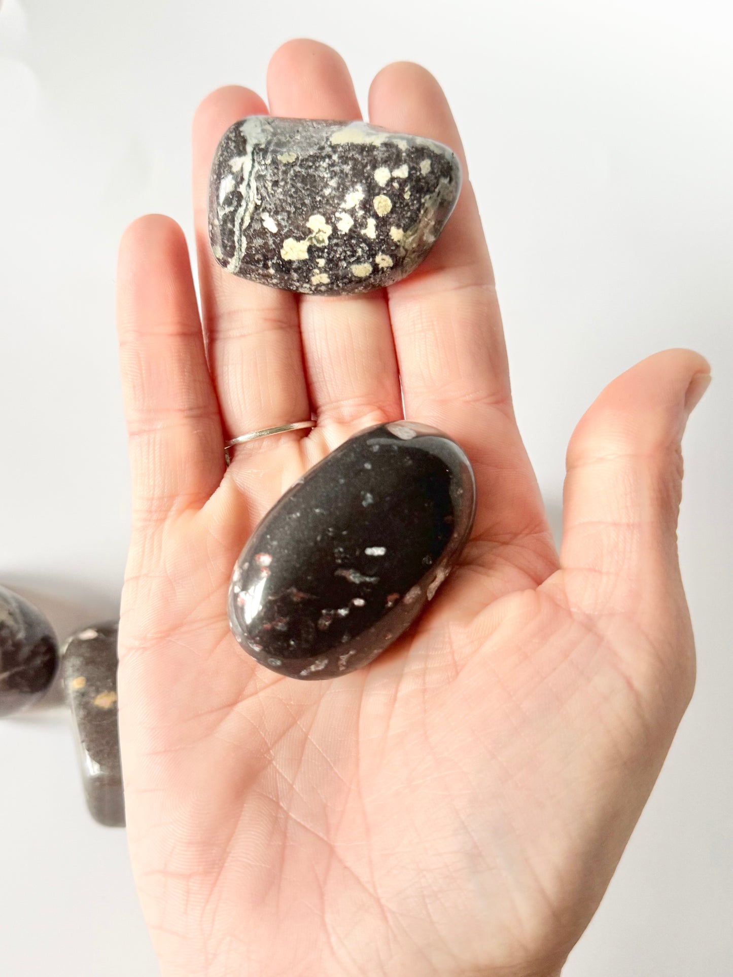 Amygdaloidal Basalt Lake Michigan Tumbles
