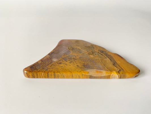 Petrified wood slab, small