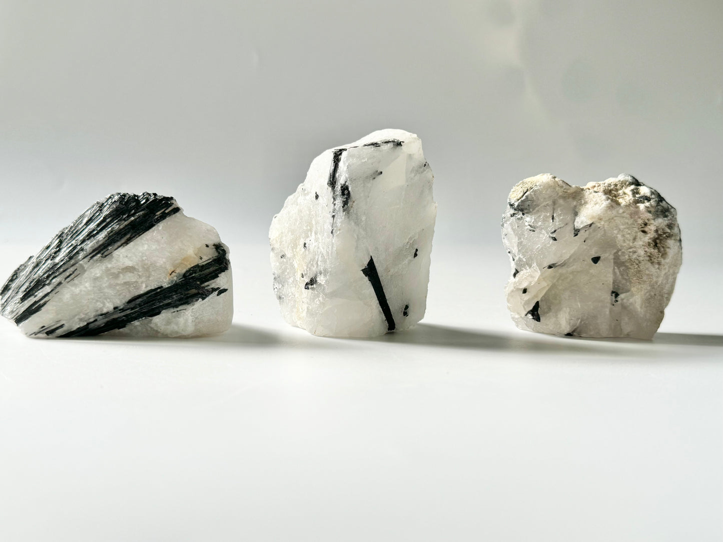 Pet Rock, Tourmaline in Quartz