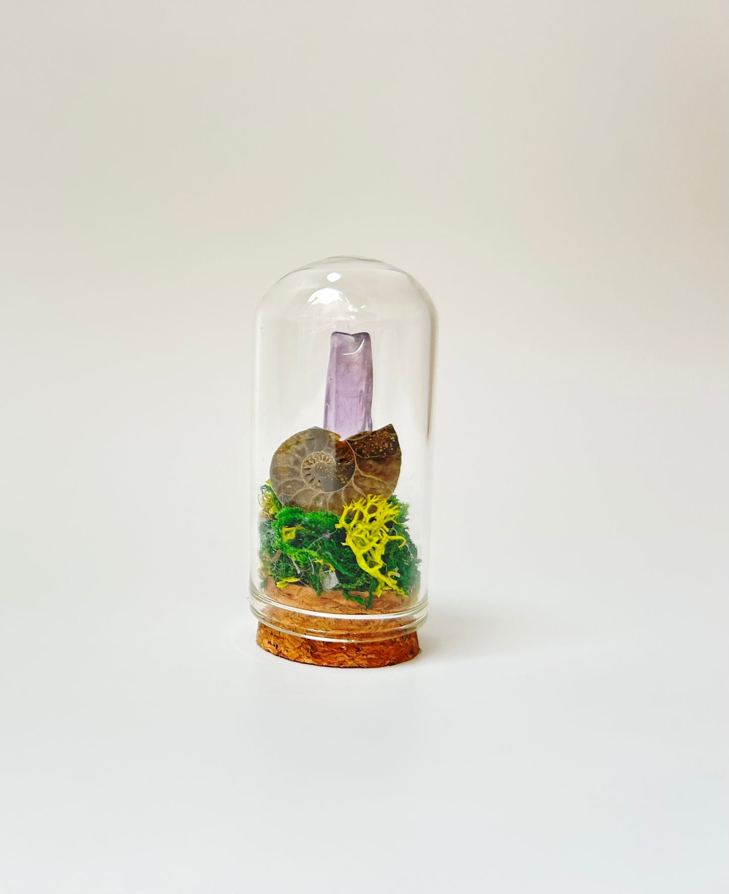 Nature Domes, Crystal Moss Terrarium