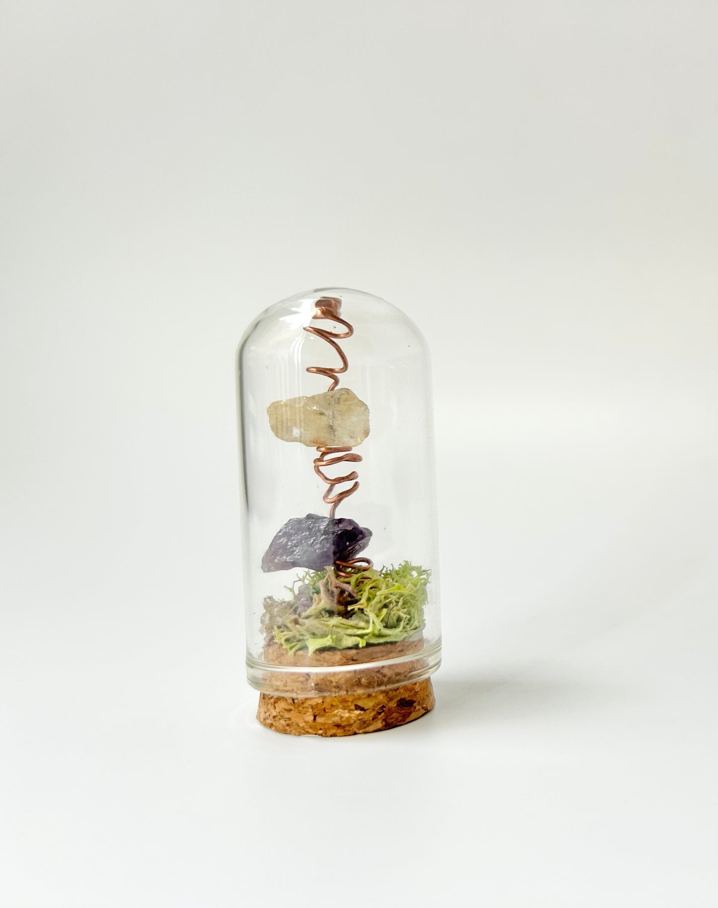 Nature Domes, Crystal Moss Terrarium